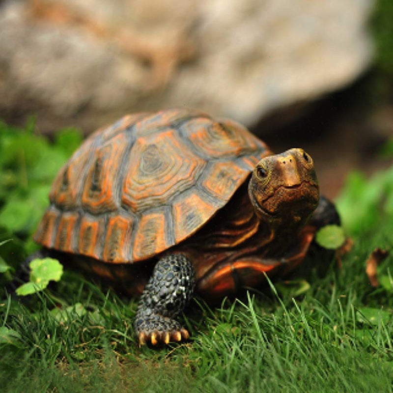 Danmu Realistic Tortoise Garden Statue, Lifelike Resin Tortoise Outdoor Decor for Yard Patio, Weather-Resistant Lawn Art Sculpture (L 12 9/10" x 9 2/5" x 5 1/2") 1 Pack - Image 3